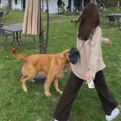 暗金烂狗7